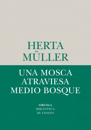 UNA MOSCA ATRAVIESA MEDIO BOSQUE