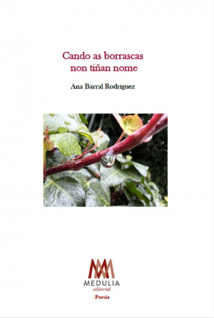 CANDO AS BORRASCAS NON TI?AN NOME