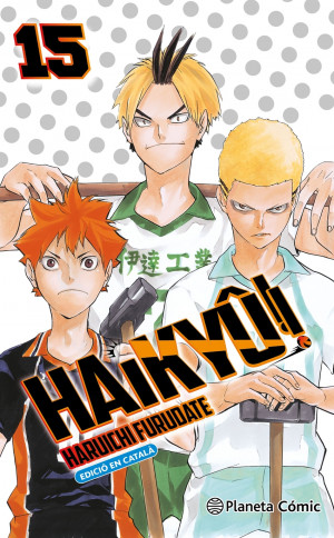 Haikyû!! n. 15/45 (català)