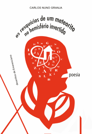 Os Resquicios de um Meteorito no Hemisfério invertido