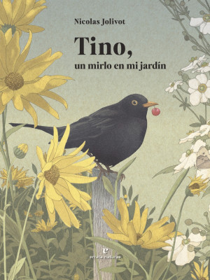 Tino, un mirlo en mi jard?n
